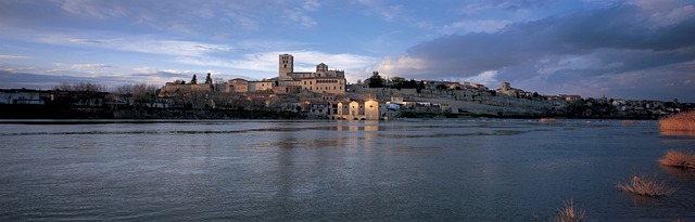 Gruas Zamora