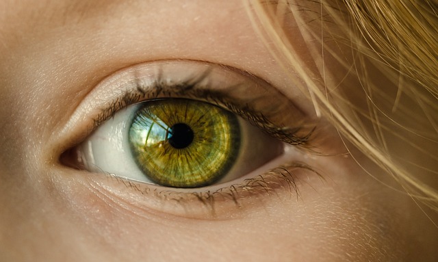 Grúas En Ojo De Agua