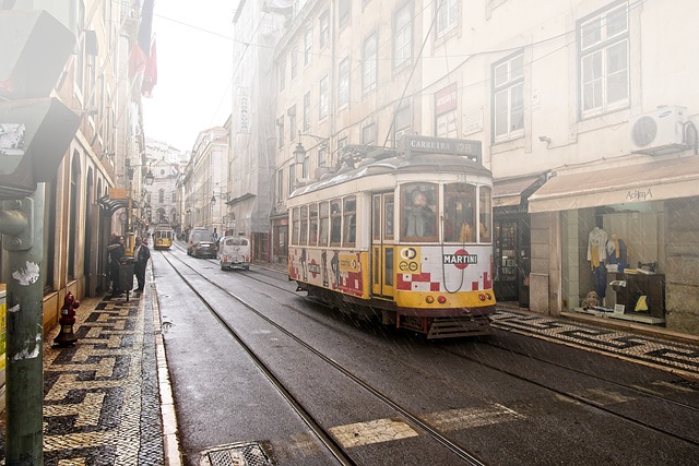 TR GRUAS